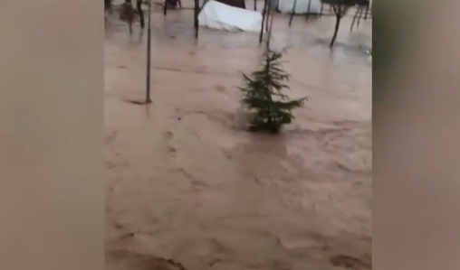 土耳其南部发生洪灾，已致数十人死亡